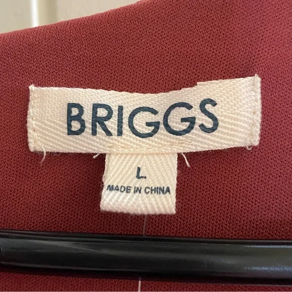 Women’s Briggs Pink Dress Large NWT - Picture 4 of 5